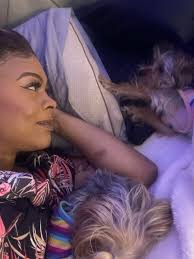 Huskies playing together