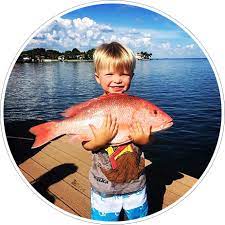 Maybe you would like to learn more about one of these? Clearwater Inshore Fishing Charters Top Rated Local Fishing Charters