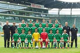 Gallen is a swiss football club based in the city of st. Fc St Gallen Alchetron The Free Social Encyclopedia