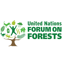 images?q=tbn:ANd9GcRYGyYY xFQI8s H 1 9AI7B3K2ZcijgayVEQ&s