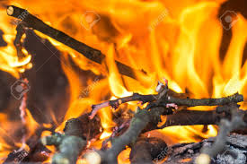 Fireplace Burning Wooden Sticks ...