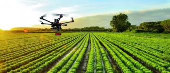 Agricultura De Precision Drones E Indices De Vegetacion Innovatione