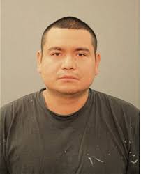 ᐅ Illinois Criminal Records 2009-2025