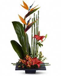 December 17, 2020 at 7:21 am ·. Patterson S Flowers Local Big Rapids Mi Florist Flower Gift Delivery