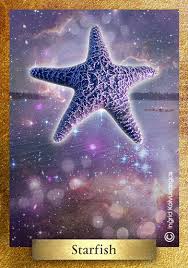 Eco Heart Oracle Environmental Artist Sea Creatures Art Animal Spirit Guides