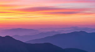 picture using orange and purple