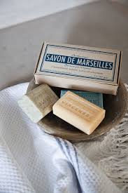Allthingsstylish Soap French Soap Soap Gift