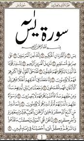 After surah yaseen, people also recite : Surah Yasin Lesen Fur Android Apk Herunterladen