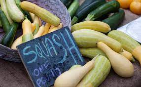 This list of gourds and squashes provides an alphabetical list of (mostly edible) varieties of the plant genus cucurbita, commonly called gourds, squashes, pumpkins and zucchinis/courgettes. 10 Summer Squash Varieties Some You Know Some You Don T Modern Farmer