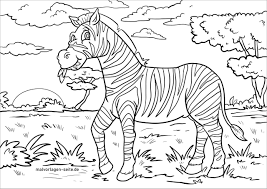 To print the coloring page: Zebra Coloring Pages Coloringbay