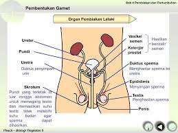 Download & view latihan topikal biologi tingkatan 4 bab 5 as pdf for free. Chapter 4 Pages 1 50 Flip Pdf Download Fliphtml5