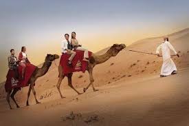 The park's major source of energy is solar energy. Morning Desert Safari With Camel Riding In Dubai 2021