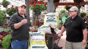 Maybe you would like to learn more about one of these? Back To Nature Cotton Burr Compost Youtube