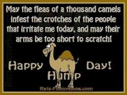 Wednesday hump camel (page 1) animated happy hump day camel wednesday quote pictures, photos, and images for facebook funny pictures of the day these pictures of this page are about:wednesday hump camel Happy Hump Day Hump Day Humor Hump Day Quotes Funny Quotes
