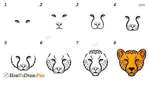 Cheetah drawing step by step at paintingvalley com explore. How To Draw A Cheetah Howtodraw Pics