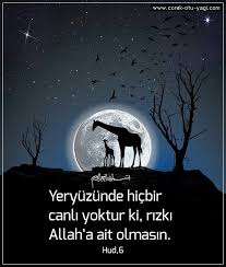 Ayetler Goruntuler Ile Islam Dualar Rumi Sozleri