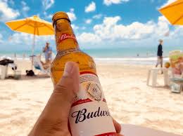 Find out how many calories are in budweiser beer 650ml, good or bad points and other nutrition facts about it. All About Budweiser Alcohol Content And Calories Novus Bars