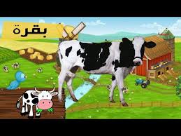 اصوات و اسماء حيوانات المزرعة اصوات الحيوانات لـ أطفال الروضة والمدرسة farm animals youtube animals farm animals cow