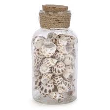 See more ideas about seashell display, sea shells, seashell crafts. 8 5 Led Glass Jar With Decorative Shells Nautico Deco