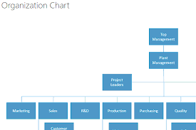 organization chart bpa solutions