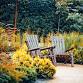 Best Plants for Fall Scaping