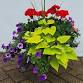 Summer Planter Workshop