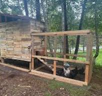 Is chicken wire sufficient for coop ventilation?