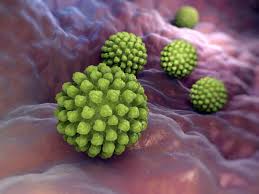 Protect your child from rotavirus. Gut Microbiota May Prevent And Cure Rotavirus