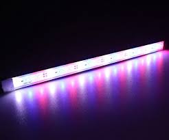 The 25 Best Aquarium Fish Tank Lights Of 2020 Pet Life Today