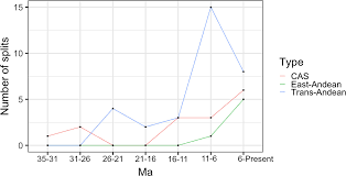 Image result for Synsepalum passargei