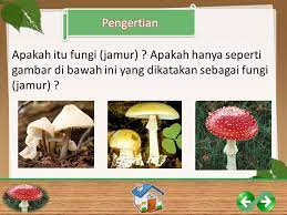 Alasan pemisahan tersebut dikarenakan ketidakmampuan jamur untuk. Dunia Fungi Ppt Download