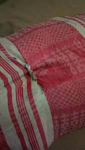 Media sosial dihebohkan dengan kemunculan grup di media sosial yang berisi para pecinta bantal dan guling kapuk. Rudy Kapuk Gio36028257 Twitter