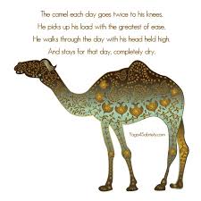 A camel is a horse designed by committee. Pin On Aa Slogans