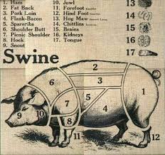 Pin By Jeannie Cook On Animal Care Feed Pigs Pig Farming Pork Raising Pigs