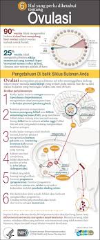 Apa Yang Dimaksud Dengan Ovulasi Gigisusu Net Fertility Boost Infographic Health Fertility Awareness
