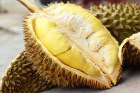 We did not find results for: Yuk Ketahui Fakta Di Balik Buah Yang Dilarang Untuk Ibu Hamil Alodokter