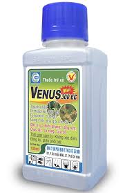 Venus 300EC