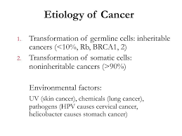 Pin On Cancers