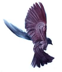 New York Ny Artist Adam S Doyle Artistaday Bird Art Birds Painting Art