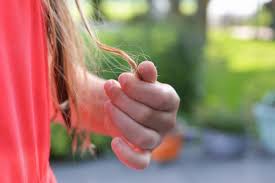 Obat alami rambut rontok dan cara membuat ramuannya. 11 Cara Mengatasi Rambut Rontok Secara Alami Dan Ampuh