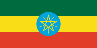 Et Domain Registration Ethiopian Domain Registration Domains33 Com