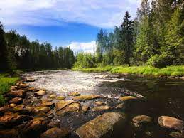 If your question is not fully disclosed, then try using the search on the site and find other answers on the subject health. Overflowing Support For Healthy Watersheds