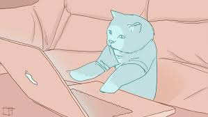 Looking for typing cat stickers? Superphazed Internet Cats Funny Cat Videos Cat Gif