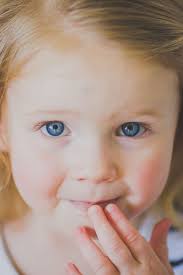 Les Dedrickson Photography