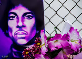 Kate Dullard (@KateDullard)