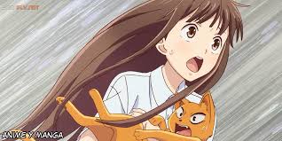 Tohru Y Kyo Transformado En Gato Fruits Basket Anime Fruit Basket Anime Chibi