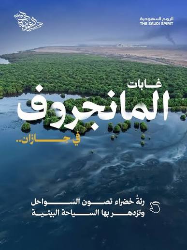غابات المانجروف… رئة السواحل وحصنها المنيع 🌳 ‏نحميها وننمّيها لدعم التوازن البيئي وتعزيز استدامة السواحل. ‏⁧‫#اليوم_الدولي_للغابات‬⁩