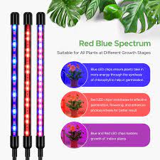 Maybe you would like to learn more about one of these? Buy Grow Light With Stand Ambor Floor Grow Lights For Indoor Plants Adjustable 120w Red Blue Spectrum Plant Grow Lamp With Timer Dual Controllers And Auto On Off Online In Indonesia B08jvlgzj5