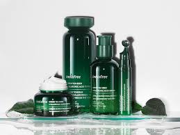 How Green Tea Seed Oil Can Improve Your Complexion - The Kit innisfree  Green Tea Seed Oil Collection