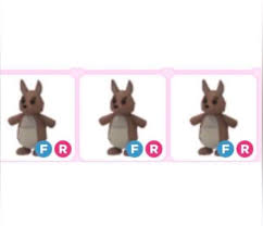 If you play adopt me! Adopt Me Pets 3 Fr Kangaroo All Of The 3 Kangaroos For 25 Sgd Video Gaming Gaming Accessories Game Gift Cards Accounts On Carousell